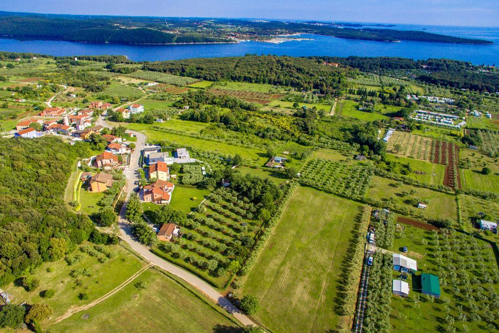 Appartamento Sun Garden Premium Orsera